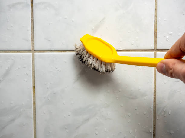 Best Local Mold Removal Service  in Garden Grove, CA