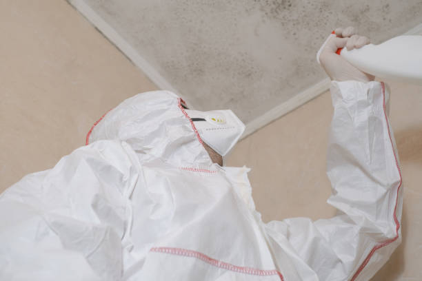 Best Attic Mold Removal  in Garden Grove, CA