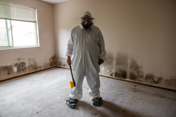 Home Mold Removal in Garden Grove, CA