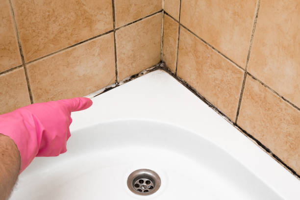 Best Crawl Space Mold Removal  in Garden Grove, CA